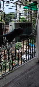 Balcony Image of 850 Sq.ft 2 BHK Apartment / Flat for sale in Naktala Kolkata for Rs. 3600000