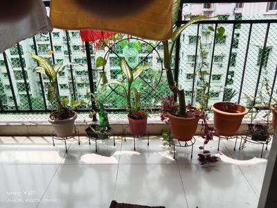 Balcony Image of 1100 Sq.ft 2 BHK Apartment / Flat for sale in Doranda Ranchi for Rs. 4200000