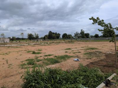 Open plot kothur Plot View 2
