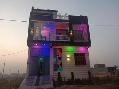 Plot View