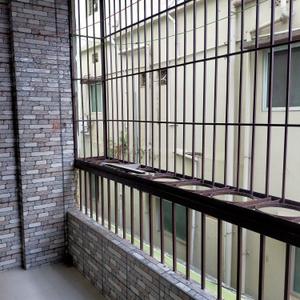 Balcony Image of 1100 Sq.ft 2 BHK Apartment / Flat for sale in UNIT- 9 Bhubaneswar for Rs. 9200000