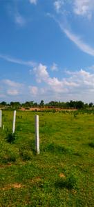 Image of 57717 Sq.ft Residential Plot / Land for sale in Kadthal, Hyderabad for Rs. 17300000