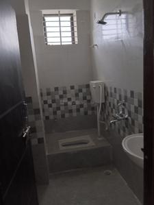 Bathroom Image of 1088 Sq.ft 3 BHK Apartment / Flat for sale in Raj Group Bhopal Raj Tulip Apartments, Minal Residency Bhopal for Rs. 5500000