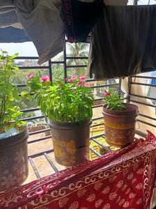 Balcony Image of 980 Sq.ft 2 BHK Apartment / Flat for sale in Sodepur Kolkata for Rs. 2200000