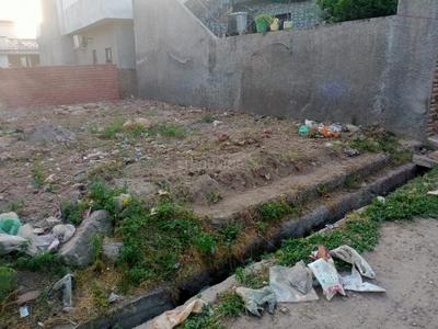 Muthi Plot View 3
