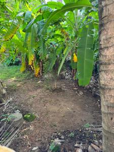 Image of 2178 Sq.ft Residential Plot / Land for sale in Thycaud, Thiruvananthapuram for Rs. 12500000