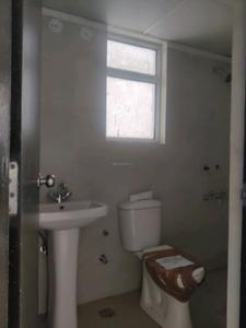 Common Bathroom Image of 840 Sq.ft 2 BHK Apartment / Flat for sale in Wave Dream Homes, Bamheta Village Ghaziabad for Rs. 5700000
