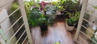 Balcony Image of 965 Sq.ft 2 BHK Apartment / Flat for rent in Old Sangvi Pune for Rs. 25000