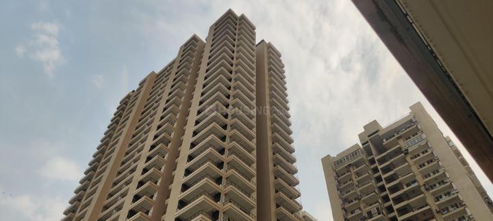 CRC Joyous Main Image 1