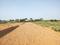 YEIDA Individual Residential Plots Internal Roads 2