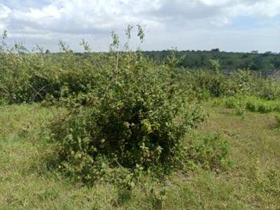 Image of 1000 Sq.ft Residential Plot / Land for sale in Lohegaon, Pune for Rs. 3060000