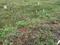 Trishul Housing Society, Saswad Plot View 2