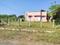 Mandya Rural Main Image 1
