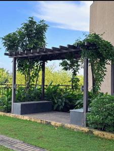 Image of 571 Sq.ft 2 BHK Apartment / Flat for sale in Vijay Orovia, Hiranandani Estate, Thane for Rs. 8900000