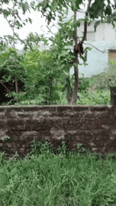 Image of 435 Sq.ft Residential Plot / Land for sale in Pandra, Ranchi for Rs. 2100000