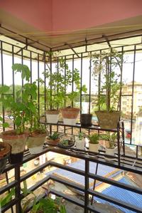 Balcony Image of 1245 Sq.ft 3 BHK Apartment / Flat for sale in Ballygunge Kolkata for Rs. 12000000