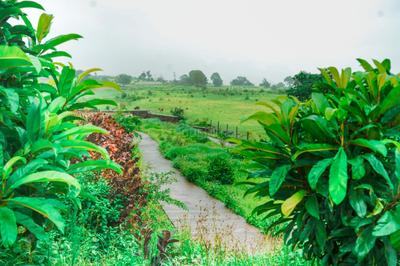 Image of 5382 Sq.ft Residential Plot / Land for sale in Trimbak, Nashik for Rs. 8611200