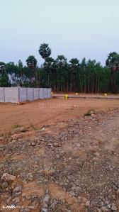 Image of 1000 Sq.ft Residential Plot / Land for sale in Venkateswara Nagar, Rajahmundry for Rs. 550000