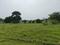 Oragadam Industrial Corridor Plot View 2