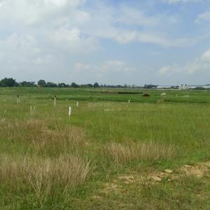 Image of 1000 Sq.ft Residential Plot / Land for sale in Faquiha Faii Residency, Kanke Road, Ranchi for Rs. 650000