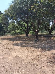 Image of 1800 Sq.ft Residential Plot / Land for sale in Thano, Dehradun for Rs. 7000000