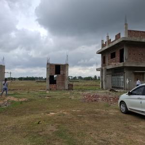 Patligram phase lll  Plot View 4