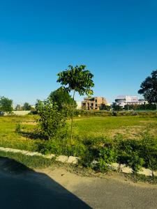 Image of 238 Sq.ft Residential Plot / Land for sale in Altus Space Muirwoods, New Chandigarh, Chandigarh for Rs. 24200000