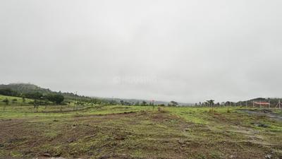 Image of 12422 Sq.ft Residential Plot / Land for sale in Samundi, Nashik for Rs. 4564000