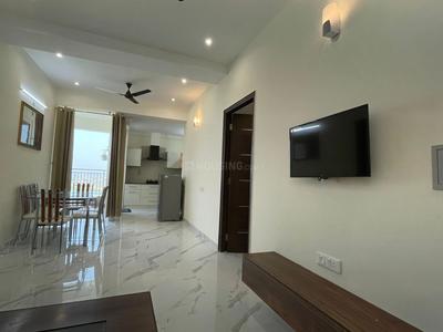 Hall Image of 880 Sq.ft 2 BHK Apartment / Flat for rent in AGI Sky Garden, Shakti Nagar Jalandhar for Rs. 26000