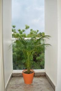 Balcony Image of 1350 Sq.ft 2 BHK Apartment / Flat for rent in Malviya Nagar New Delhi for Rs. 69000