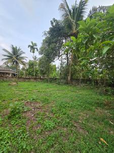 Image of 2872 Sq.ft Residential Plot / Land for sale in Alangad, Kochi for Rs. 2275000