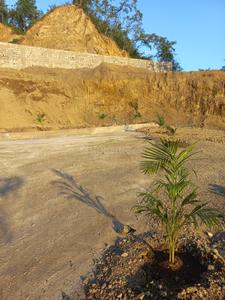 Image of 2880 Sq.ft Residential Plot / Land for sale in Bhogpur, Dehradun for Rs. 8000000