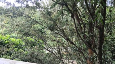 Balcony Image of 1200 Sq.ft 3 BHK Apartment / Flat for sale in JP Nagar Bengaluru for Rs. 8500000