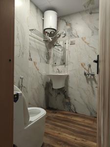 Bathroom Image of 350 Sq.ft 1 RK Apartment / Flat for rent in Sector 44 Noida for Rs. 17000