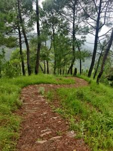 Image of 1550 Sq.ft 2 BHK Villa for sale in Vimoksha Valley III, Majkhali, Ranikhet for Rs. 12500000