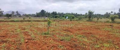 Image of 11809 Sq.ft Residential Plot / Land for sale in Murbad, Thane for Rs. 2018000