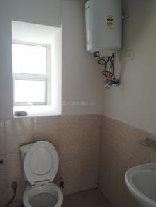 Bathroom Image of 1319 Sq.ft 3 BHK Apartment / Flat for rent in Jaypee Aman, Sector 151 Noida for Rs. 19999