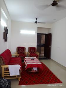 Hall Image of 700 Sq.ft 3 BHK Apartment / Flat for rent in Terra Lavinium, Sector 75 Faridabad for Rs. 26000
