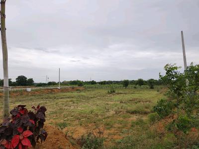 Image of 250 Sq.ft Residential Plot / Land for sale in Thummaloor, Hyderabad for Rs. 6250000
