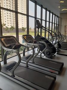 Hall Image of 756 Sq.ft 2 BHK Apartment / Flat for rent in Lodha Palava Downtown, Palava Phase 2 Thane for Rs. 25000