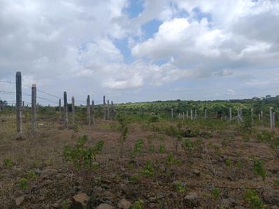 Image of 1250 Sq.ft Residential Plot / Land for sale in Lohegaon, Pune for Rs. 3615000