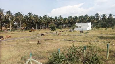 Image of 1500 Sq.ft Residential Plot / Land for sale in Peacock Avenue, Myleripalayam, Coimbatore for Rs. 2064000