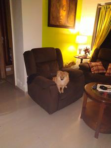 Hall Image of 810 Sq.ft 2 BHK Apartment / Flat for sale in Swabhumi Abasan, Maheshtala Kolkata for Rs. 3500000