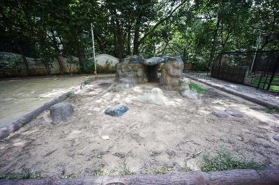 Image of 680 Sq.ft 2 BHK Apartment / Flat for sale in Kiwale, Pune for Rs. 7800000