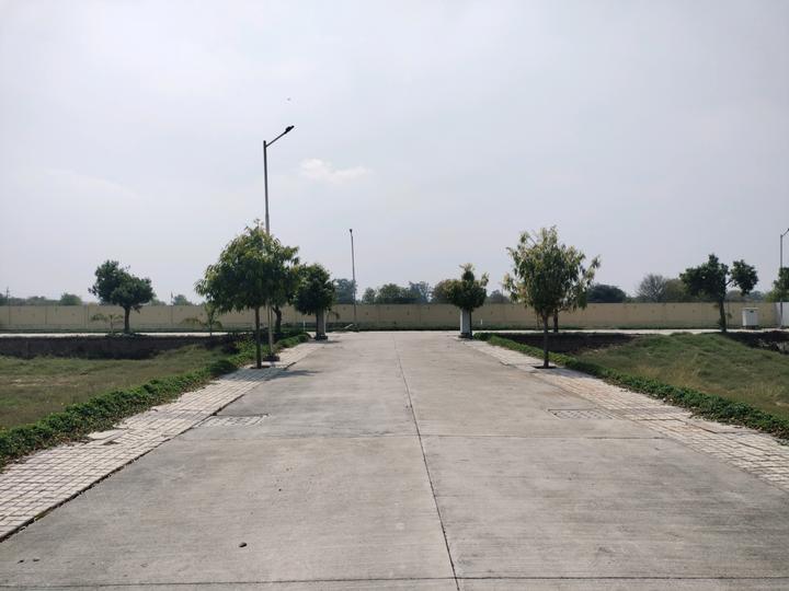 Soha Neal City Main Image 1