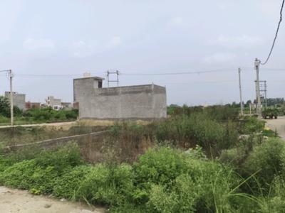 Chhapraula Plot View 1