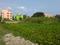 Sonargaon 2 plot project Main Image 1