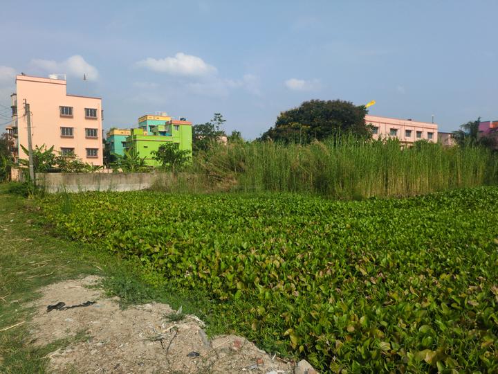 Sonargaon 2 plot project Main Image 1
