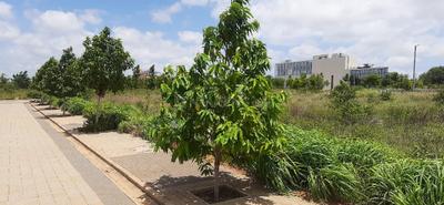 Image of 1200 Sq.ft Residential Plot / Land for sale in Godrej Reserve, Devanahalli, Bengaluru for Rs. 11000000