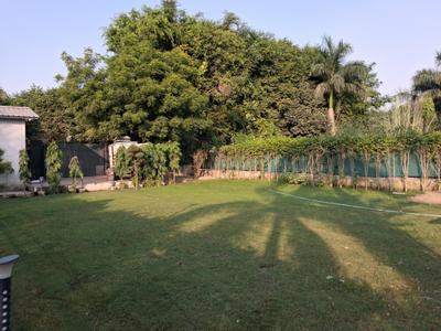 Playing Area Image of 1600 Sq.ft 2 BHK Villa for sale in Dkrrish Green Beauty Farms, Nagli Sabapur Noida for Rs. 9600000